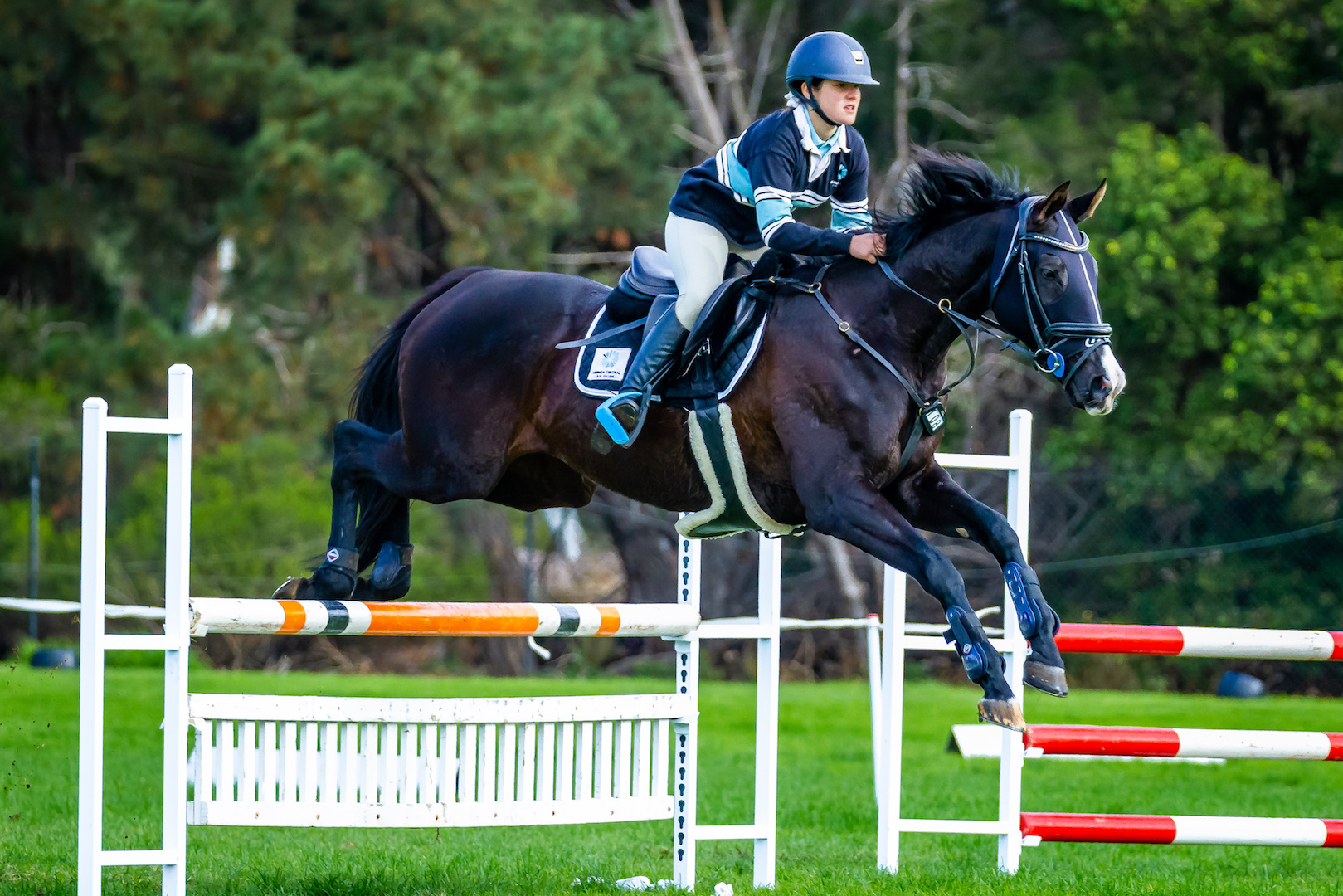 Show Jumping Equestrian Interschool Victoria